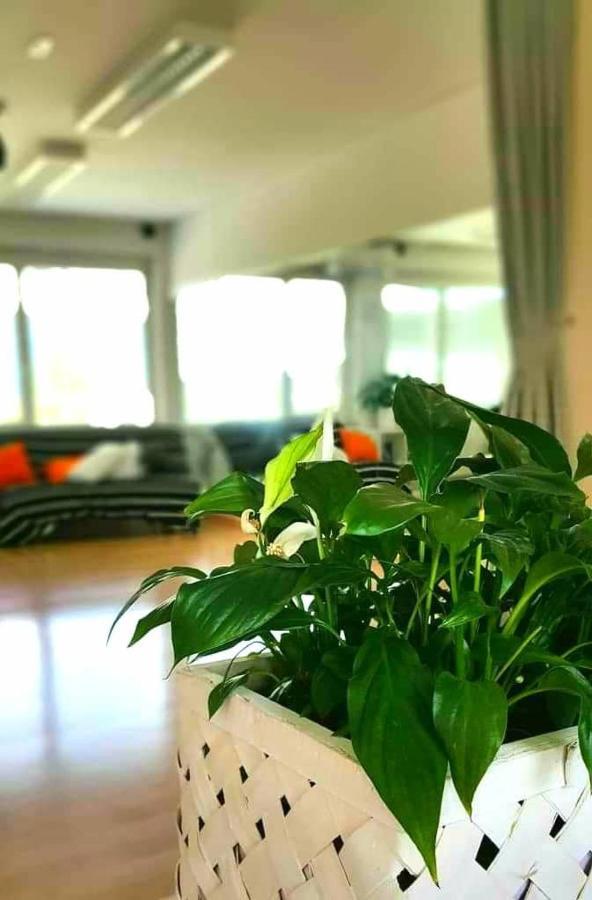 Tej Hostel Любляна Экстерьер фото
